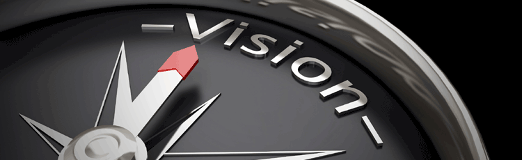 Vision